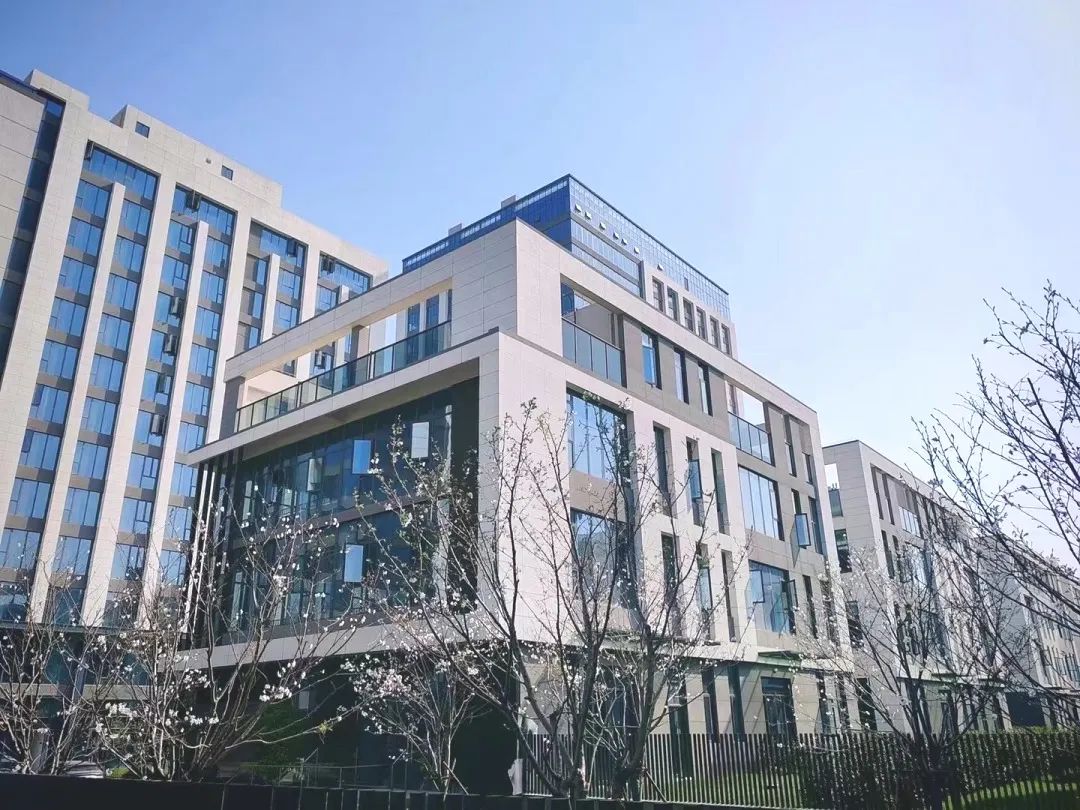 1681349555171650.jpg 1681349555171650.jpg